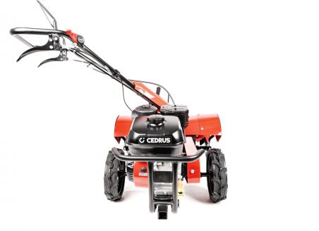 Glebogryzarka spalinowa Cedrus GL10 GLX680