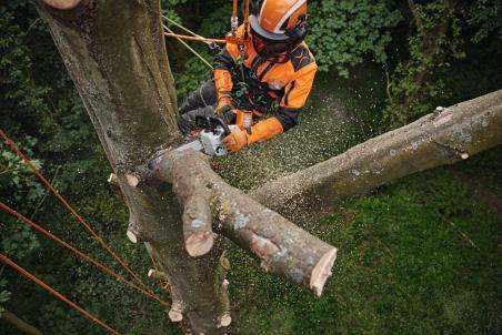 STIHL Pilarka akumulatorowa MSA 220 TC-O | dla arborystów