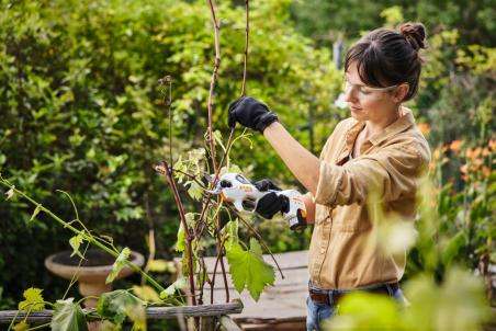 STIHL Sekator akumulatorowy ASA 20, zestaw z AS 2 i AL 1